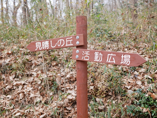 石坂の森で、ハイキング!(埼玉県鳩山町) 雲外蒼天!