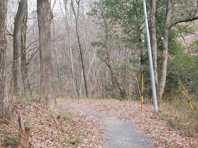 石坂の森で、ハイキング!(埼玉県鳩山町) 雲外蒼天!